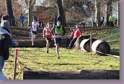 Begles 15.12.13 01 029 * 679 x 453 * (193KB)